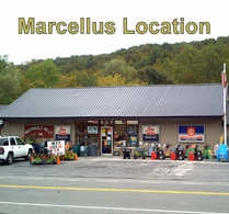 Marcellus